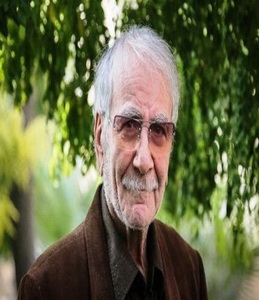 دکتر غلامحسین ابراهیمی دینانی 